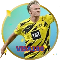 VISA188