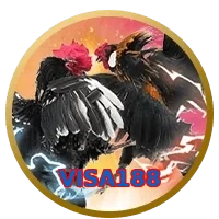 VISA188
